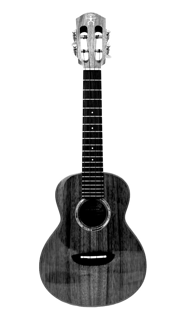 aNueNue tenor ukulele in black and white